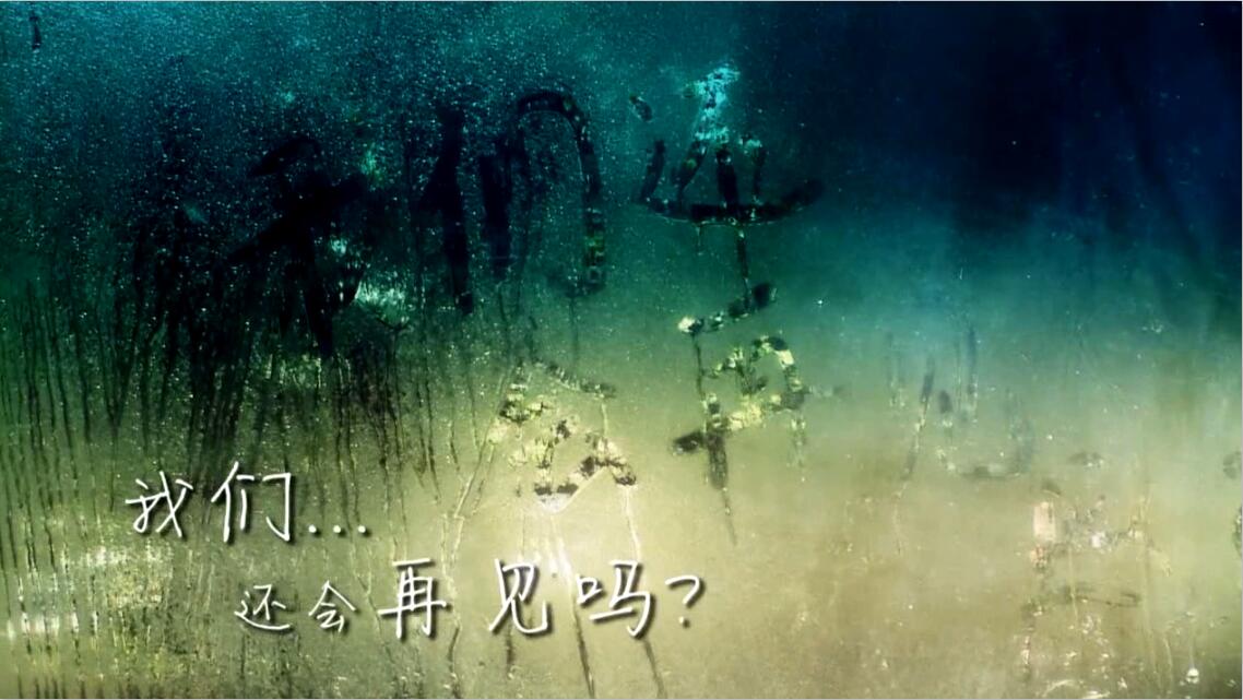 &#21315;&#20159;&#20307;&#32946;&#30331;&#24405;&#32593;&#31449;&#65288;&#20013;&#22269;&#65289;&#38598;&#22242;&#26377;&#38480;&#20844;&#21496;
